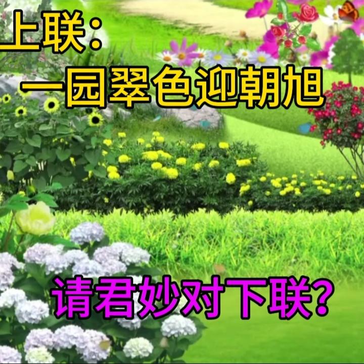 上联：小红作焰花
横批：色相如画