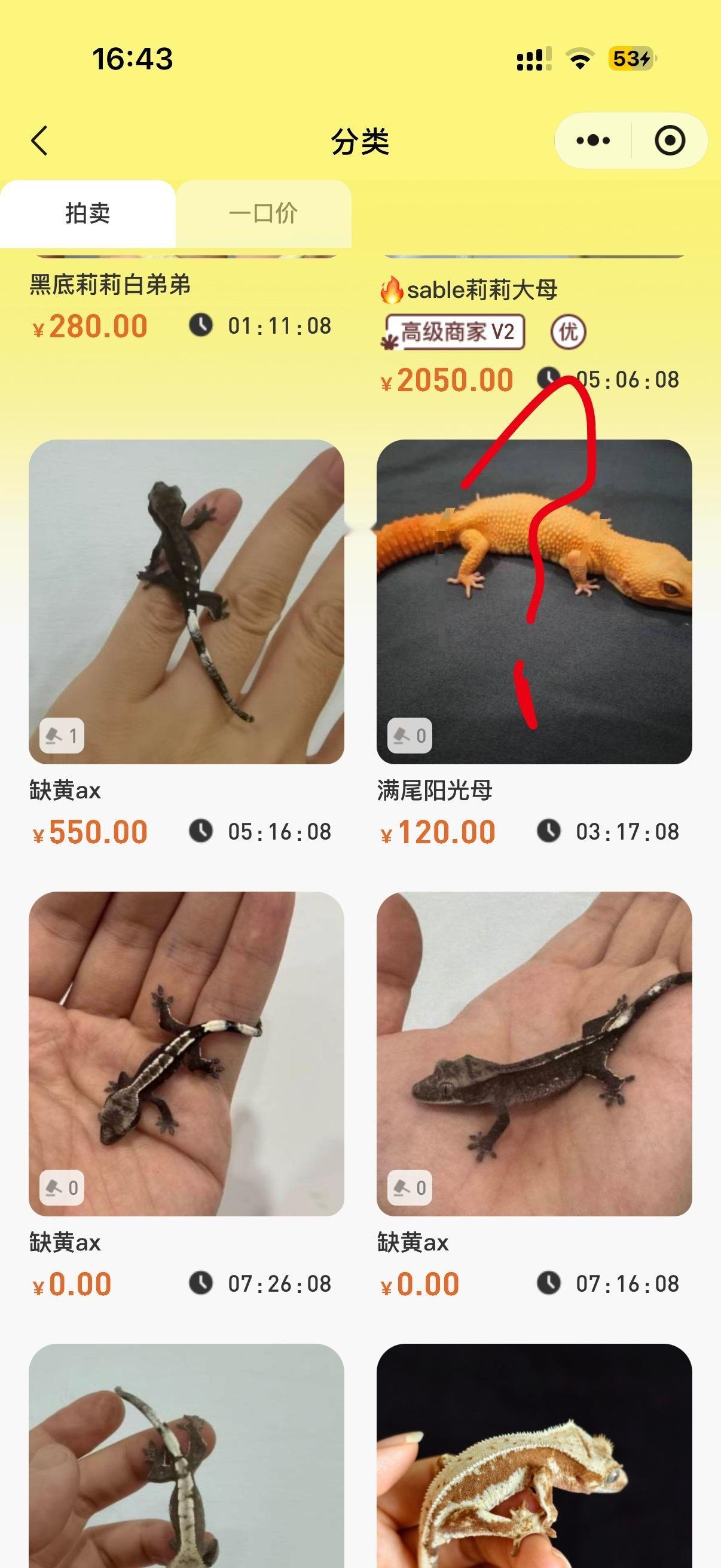 你咋在这 
