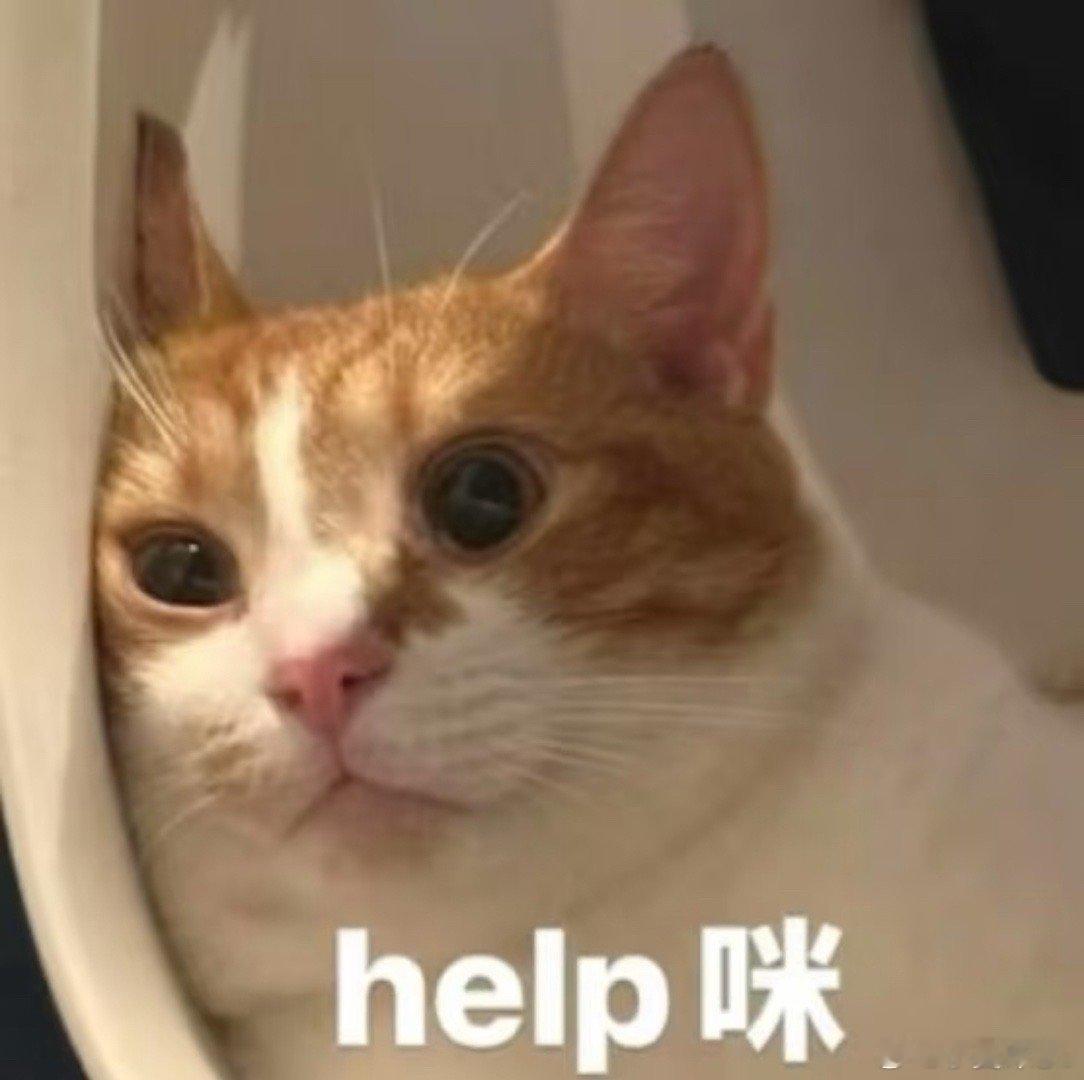 五一假期出行必备清单我的五一假期必备清单竟然是两个娃，不想逛街看景点，只想吃吃喝