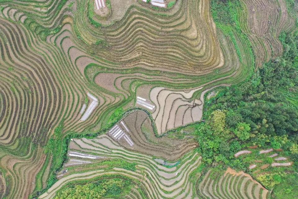 旅行团甩团事件层出不穷，就事件中的甲乙双方，都是有责任，谴责或者处罚旅行社也是不