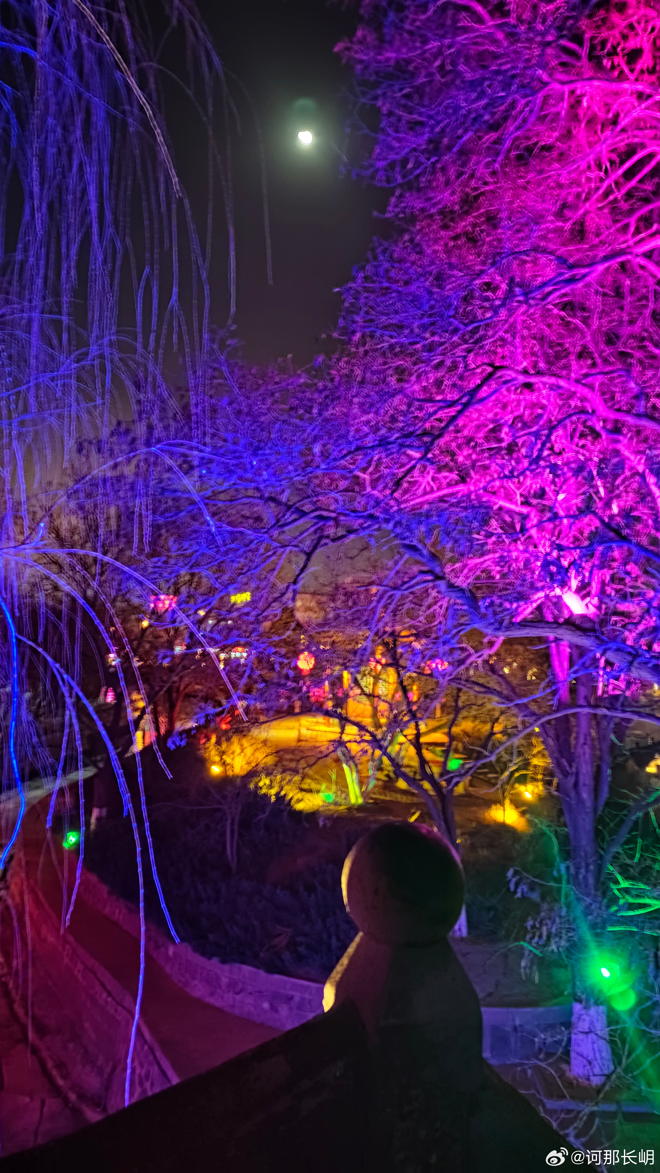 把白日的喧嚣留在身后，在明湖的夜色里，遇见属于济南的浪漫与温柔。 