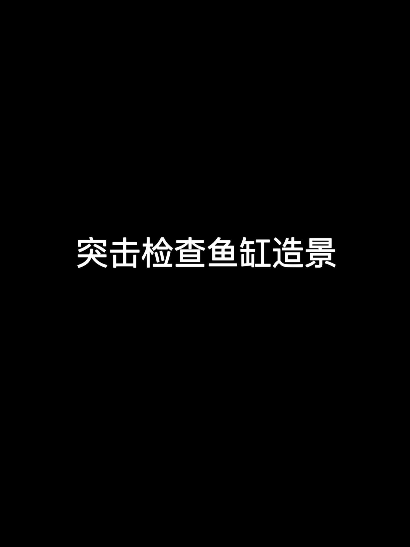 看看你们的鱼缸造景