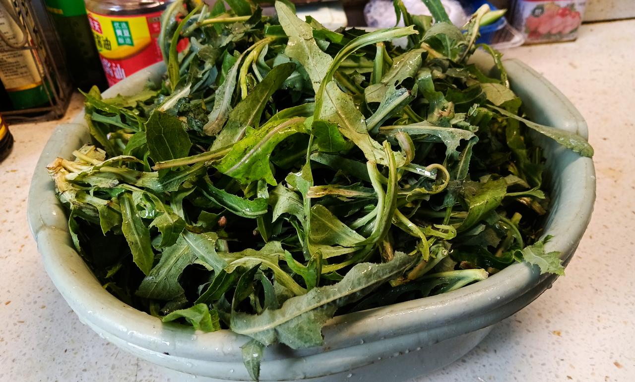 不知该如何处理，眼睁睁看着一大兜野菜渐渐变蔫。

老伴劝道：“不会做就送人吧，再