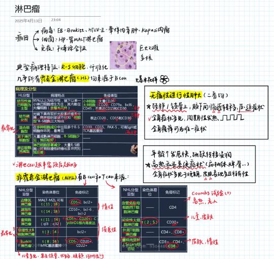 医学生笔记｜内科学·血液系统（部分）