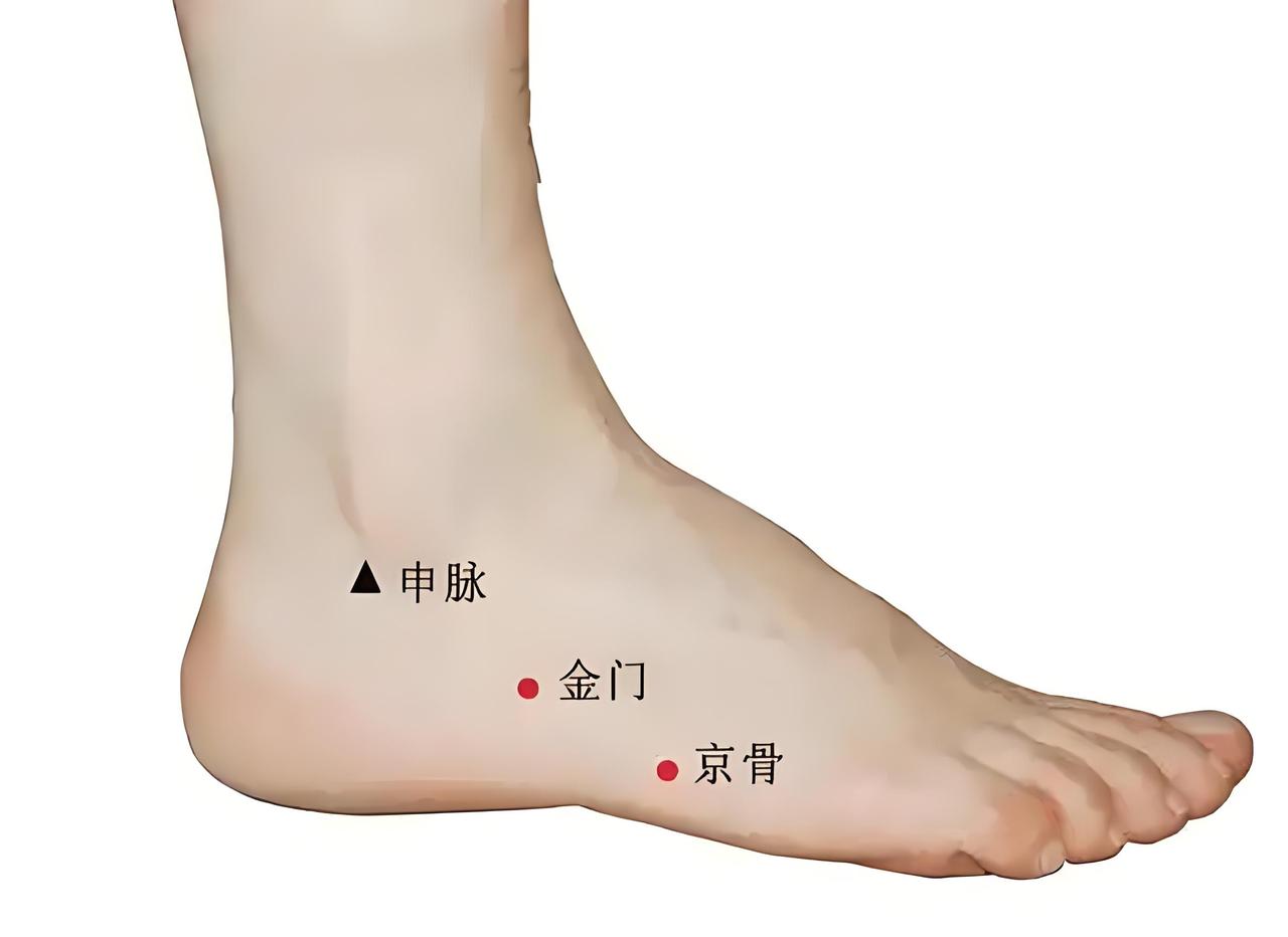 【每日一穴】金门穴：身体自带的“安神警报”，突发不适按这里！

你是否经历过突然