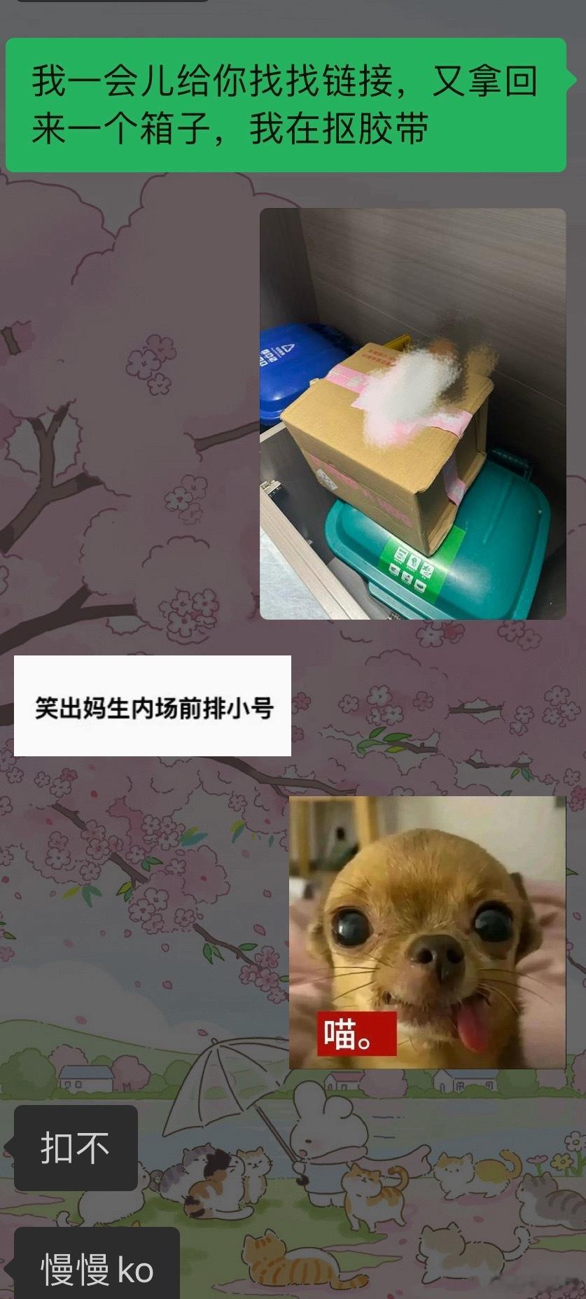 愈发熟练 