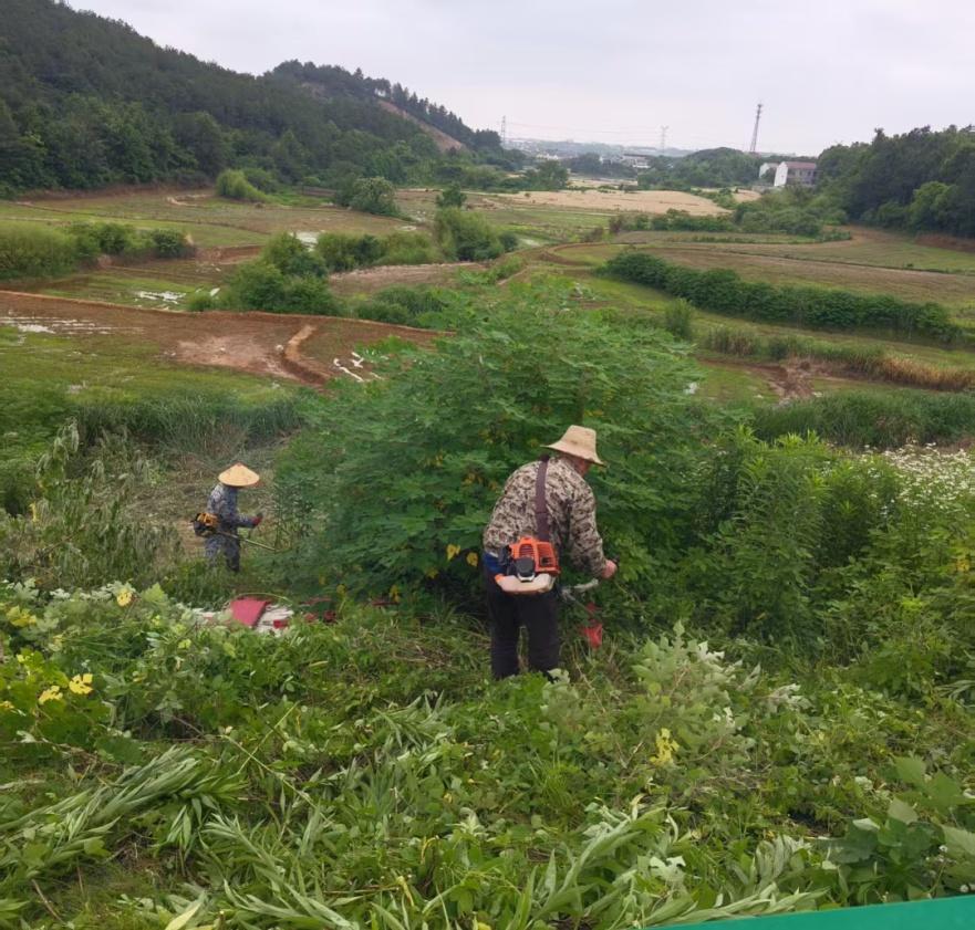 【未雨绸缪备汛期 清障除杂护平安】为切实筑牢辖区防汛安全屏障，有效防范化解汛期水