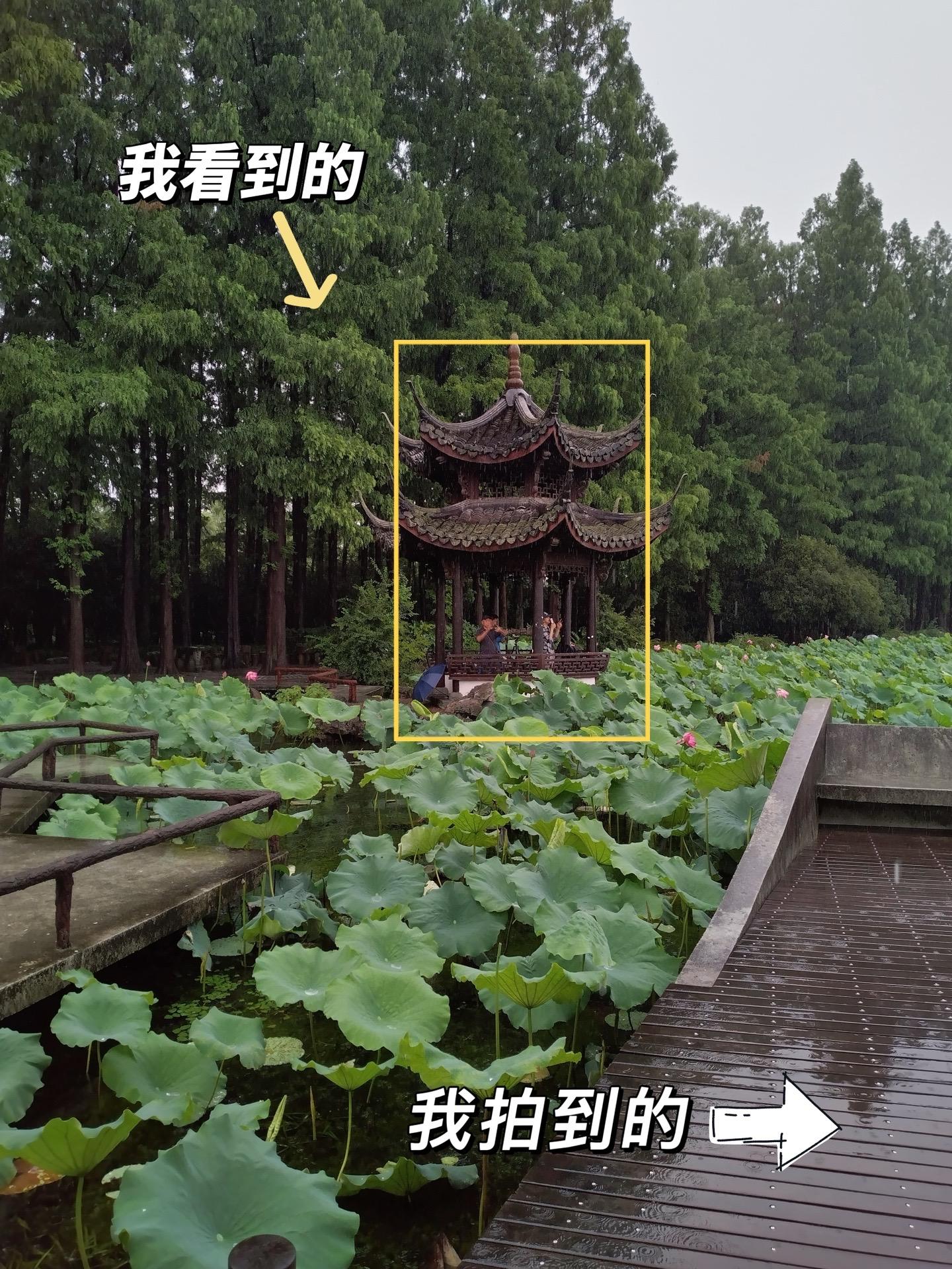 江南雨｜我看到的VS我拍到的。在江南，淋了一身诗意