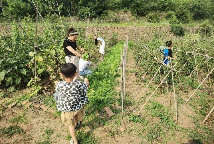 90%、30㎡菜地 9 天抢空近 200 块），核心是都市刚需精准匹配 + 轻量