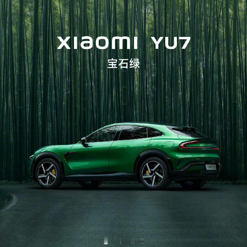 莫听穿林打叶声，何妨吟啸且徐行小米就是这样，无论什么类型的车，小米总是能把车漆做