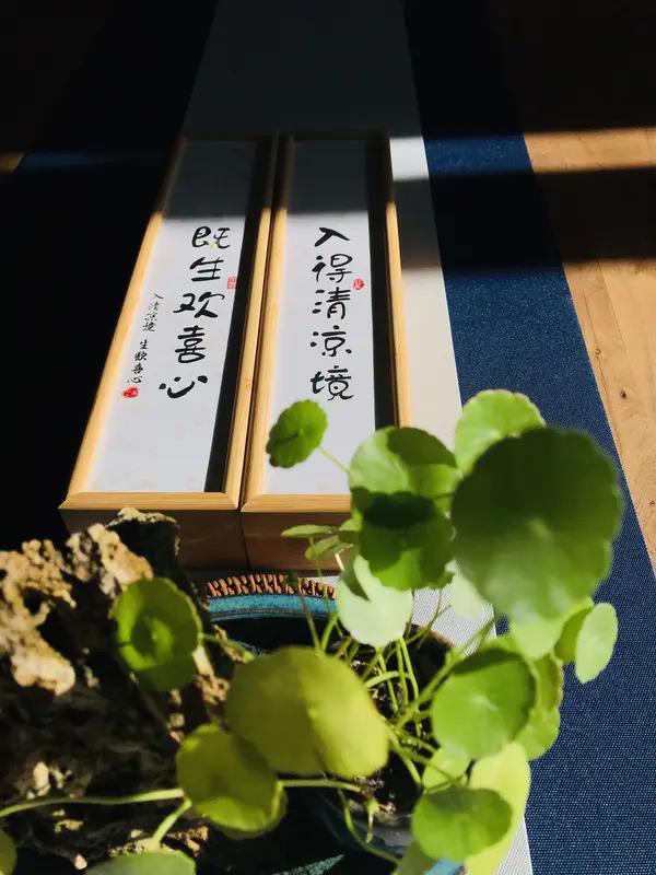 1. 不贪浮华，守住本心。
2. 心念故人，心安事顺。
3. 遇事谨慎，稳字当先