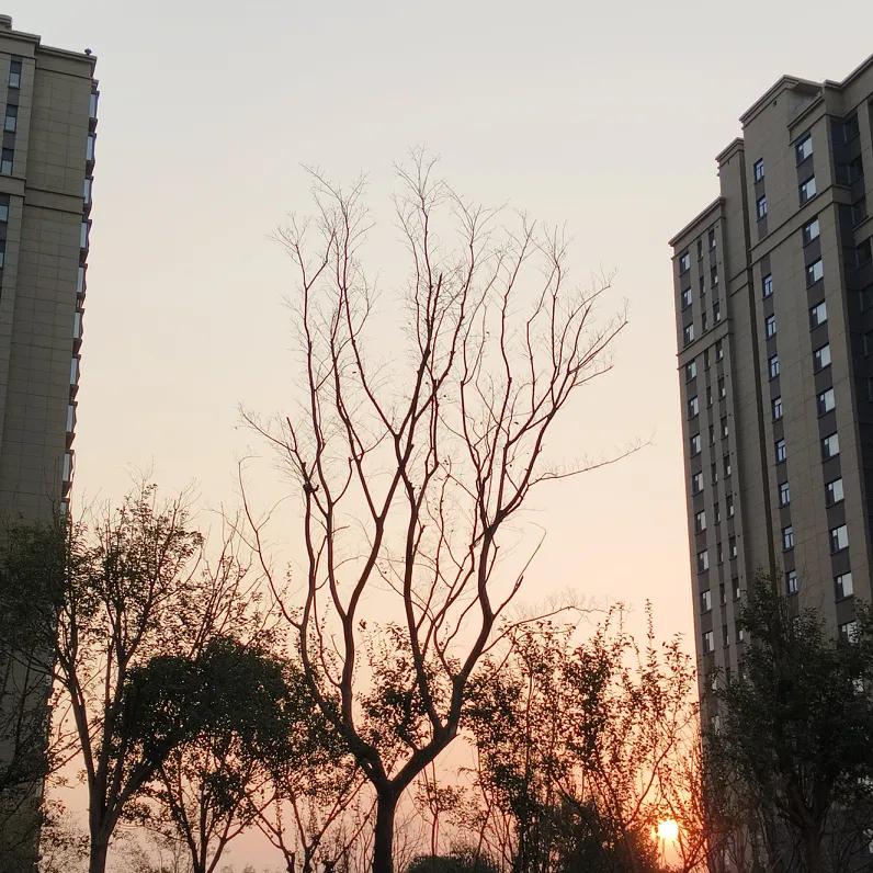 现在玩手机的时间太多了。现实中的收藏品有点少。不过，手机上存的照片，一些回忆资料