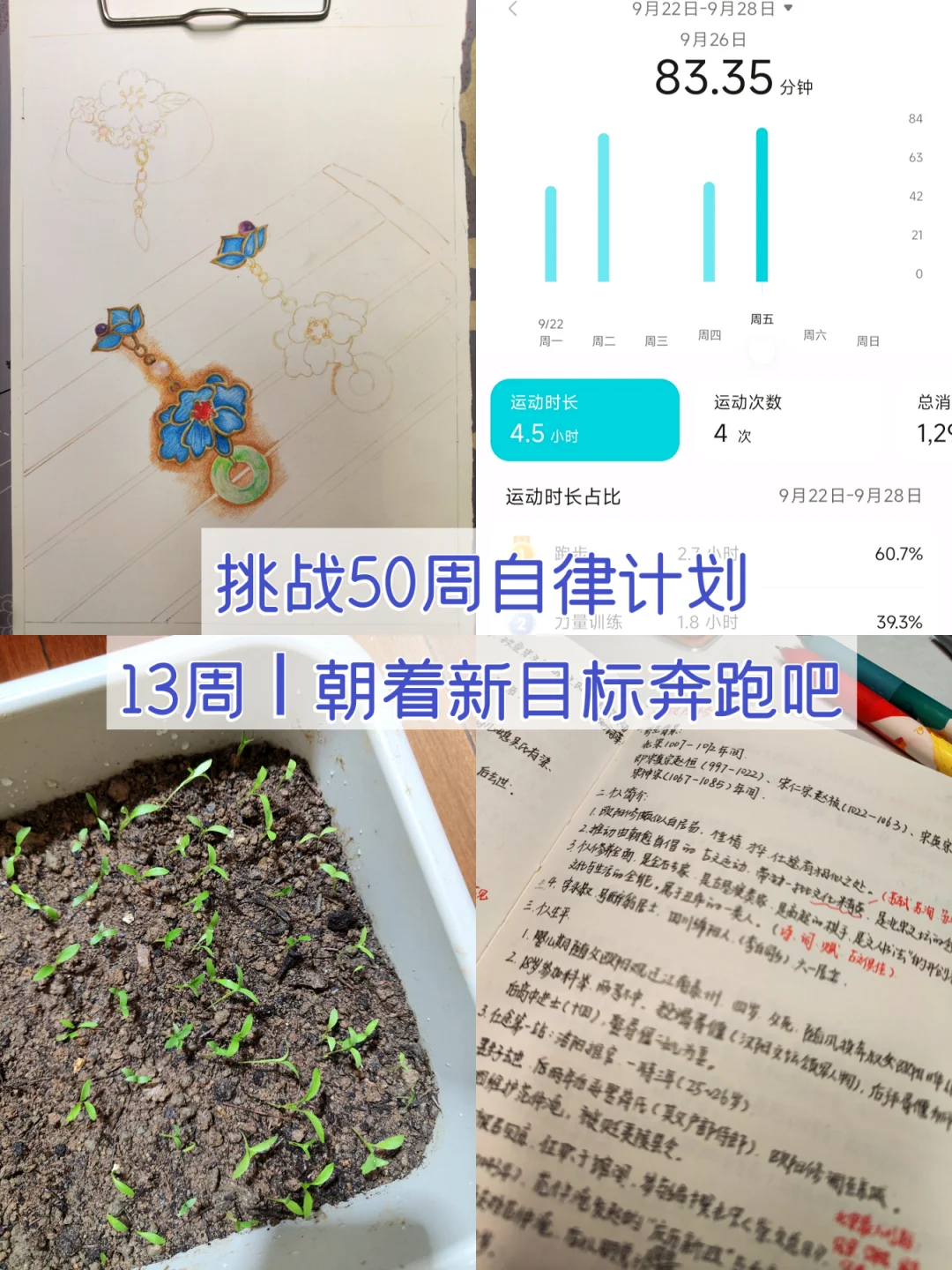 挑战50周自律计划｜13周：朝着新目标奔跑吧