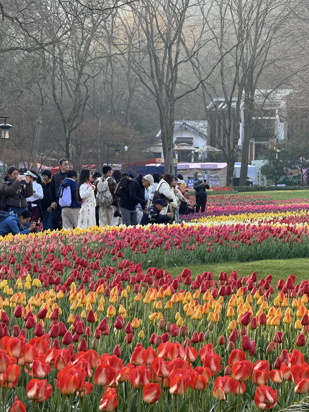 3.11太子湾实况！到底是谁说早上人少的啊！