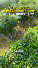“这邻居做的真绝！”河南，男子和邻居家土地紧挨着，谁知邻居给花生打除草剂时，担心