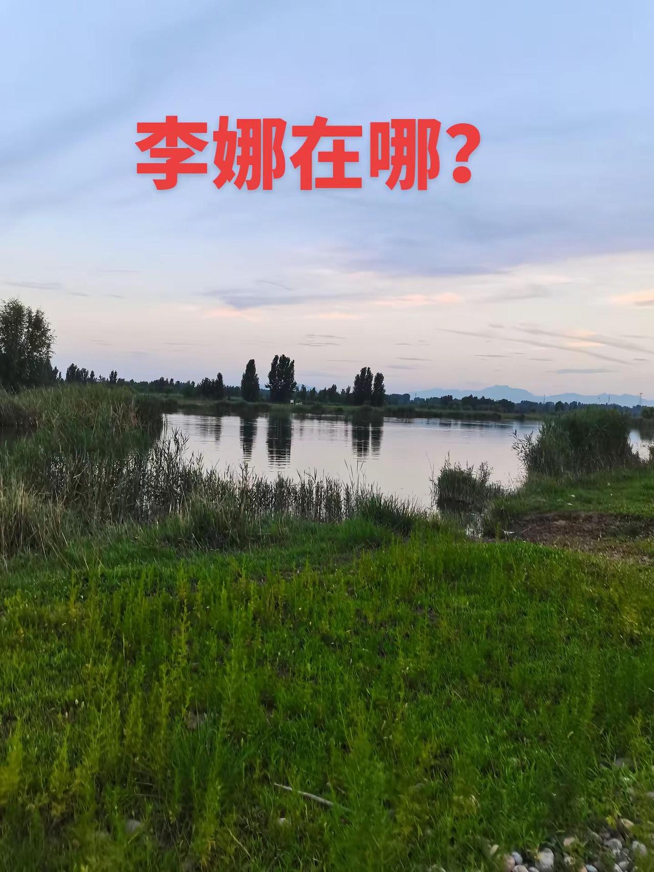 李娜会回来吗？