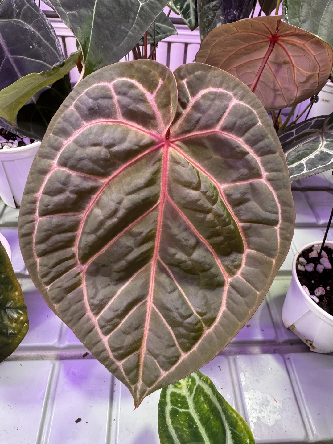 一定给我保持住