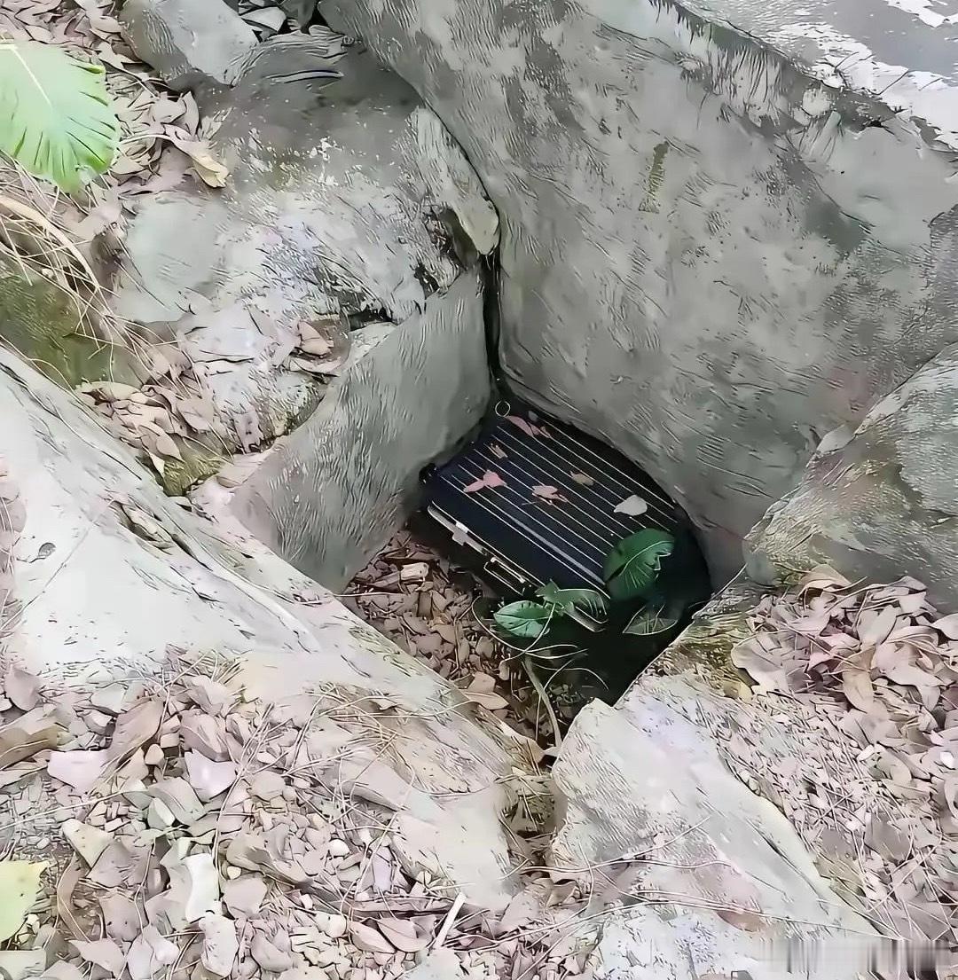 假如你去户外爬山，看到这个东西第一反应是什么，会怎么做？ 