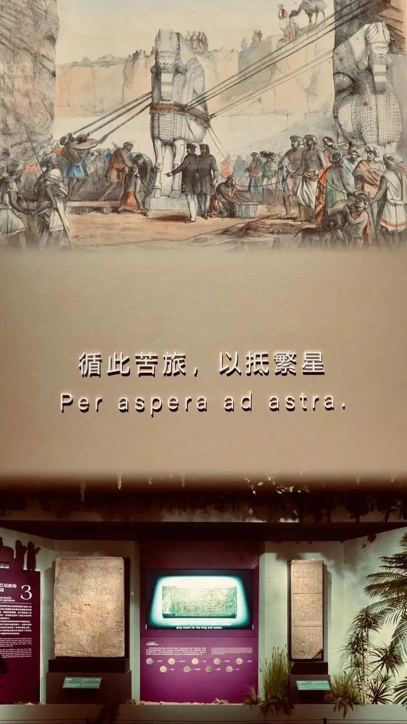 历史文物是跨越千年的文明信使，每一件都镌刻着时代的印记。商周青铜器的古朴纹饰、唐