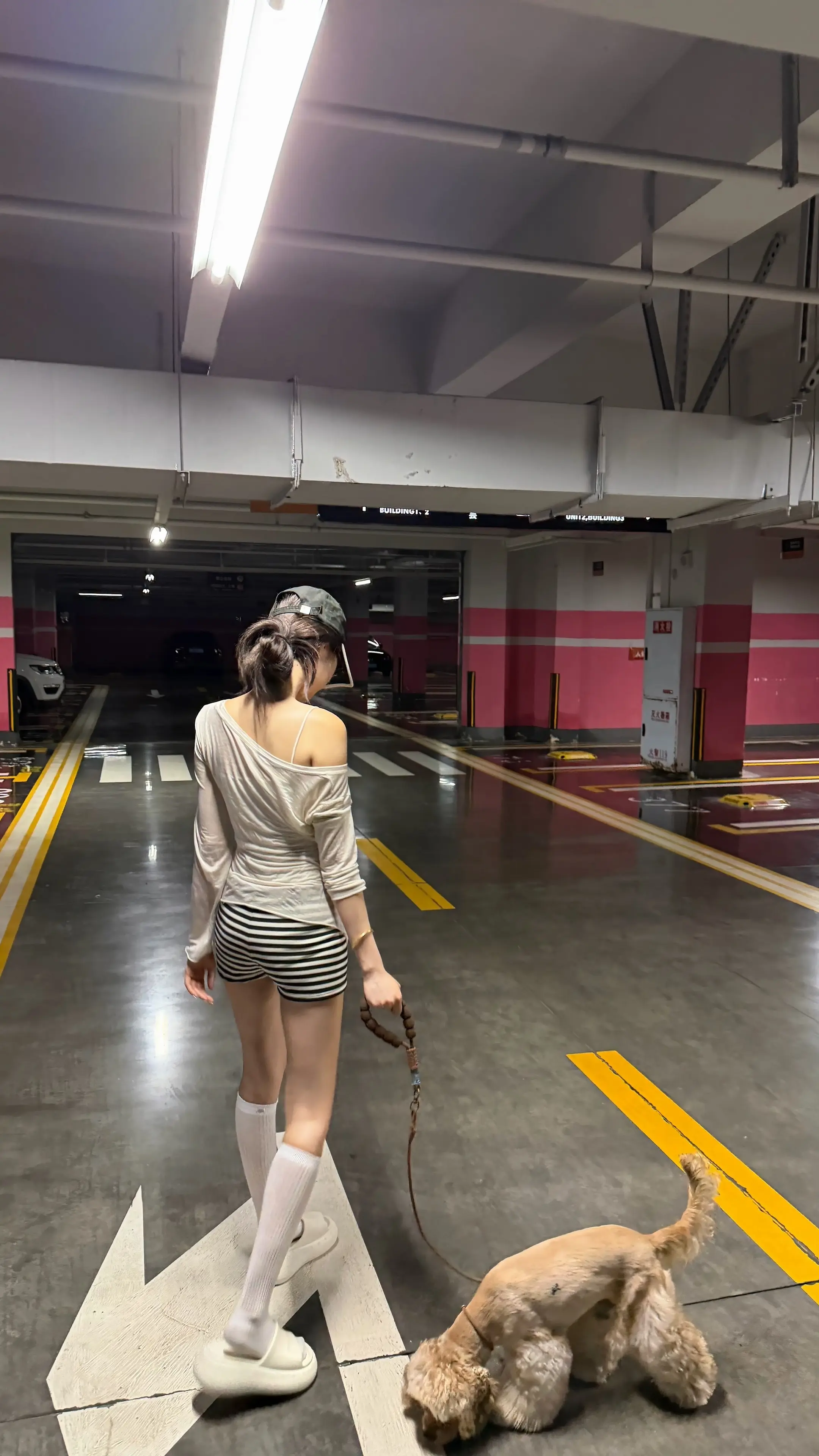 学会不在意整个人都平静了