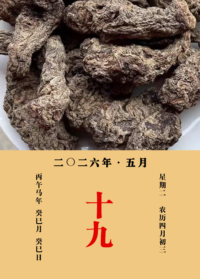 每天一味中草药 孟诜说：干地黄，微寒，以少蜜煎，或浸食之，或煎汤，或入酒饮，并妙