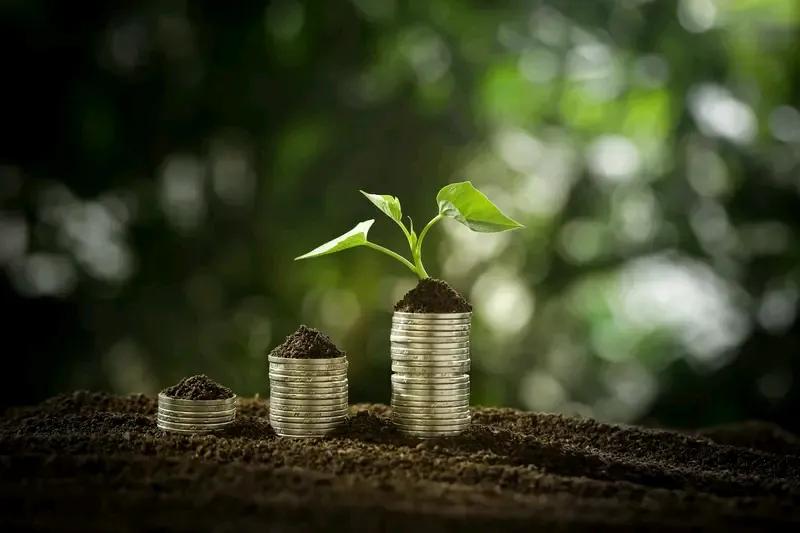 美国一位大老板为几万名孩子捐款开设股票账户。
从小培养孩子的金融理念，让他们铭记