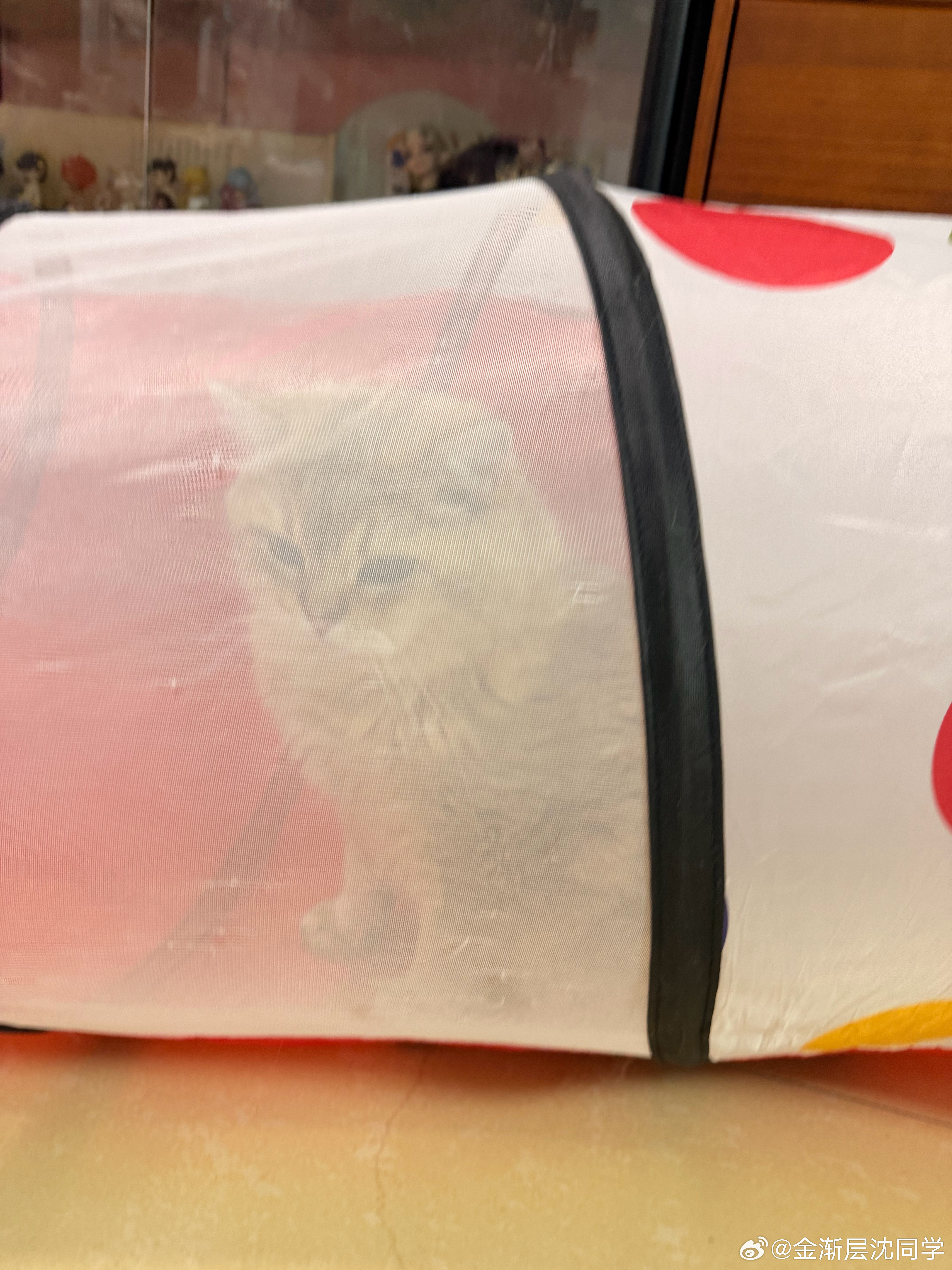 都在看戏萌宠猫咪