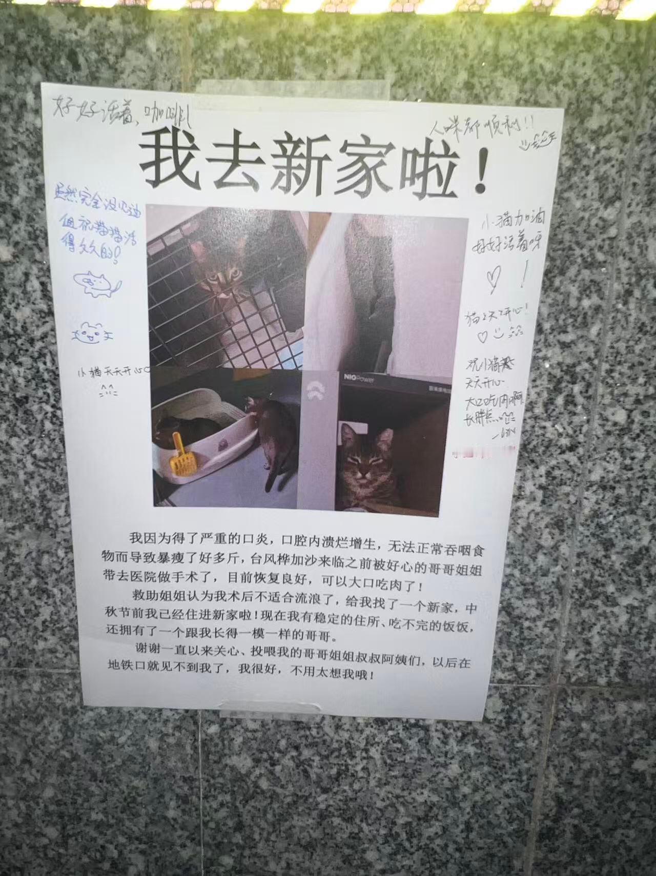 人活着就是为了看这些东西的！ ​​​