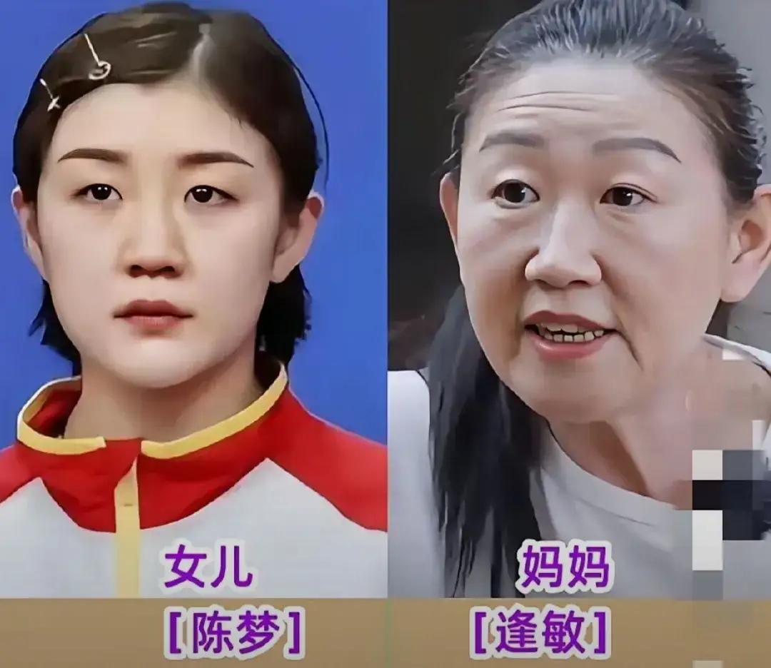 陈梦乒乓球打的好，离不开妈妈对她的栽培。
王楚钦乒乓球打的好，离不开妈妈对他的栽