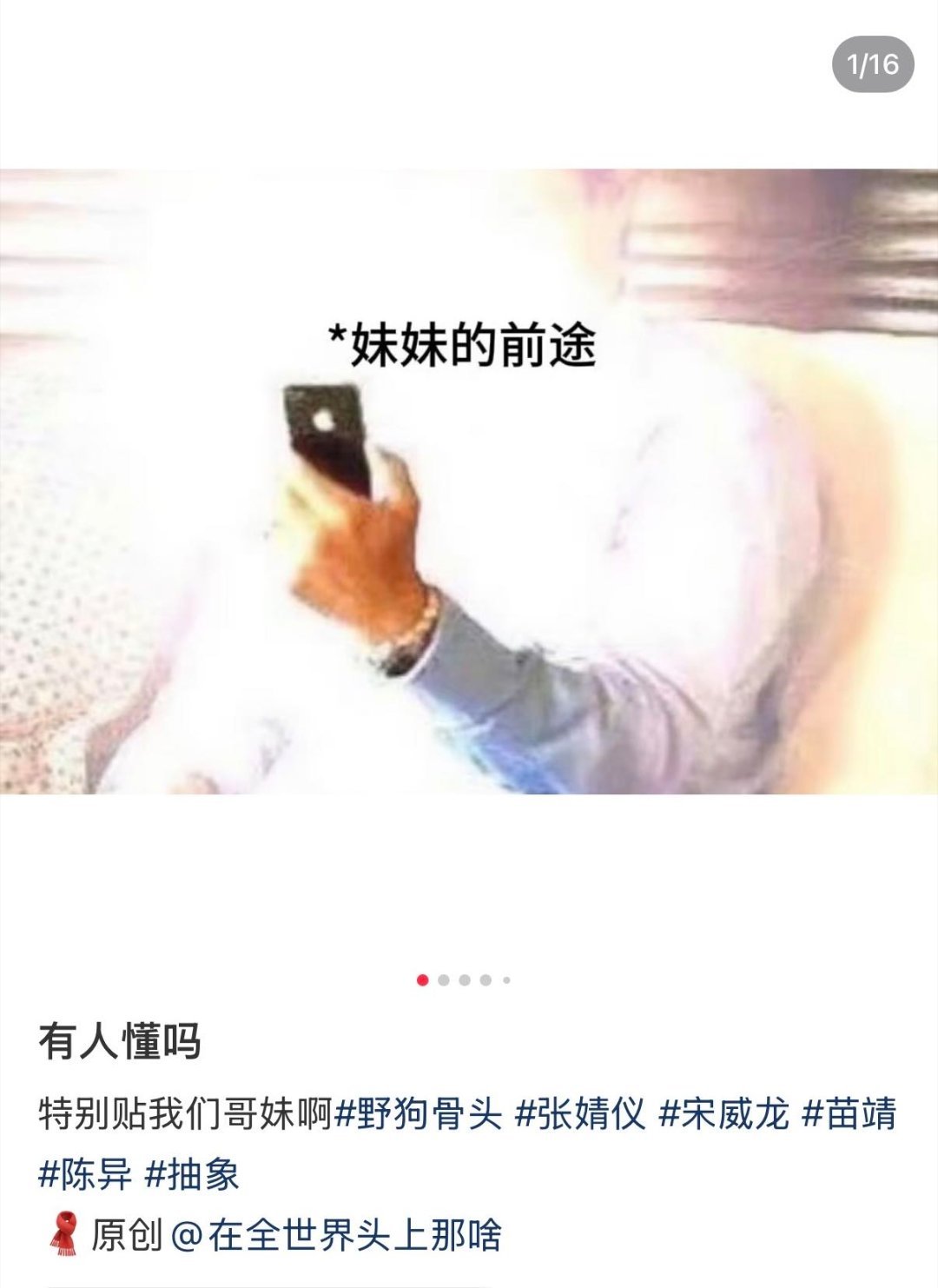 宋威龙贴脸张婧仪唯粉这套梗图是全体藤城市民一起想出来的集体创作，所有看《野狗骨头