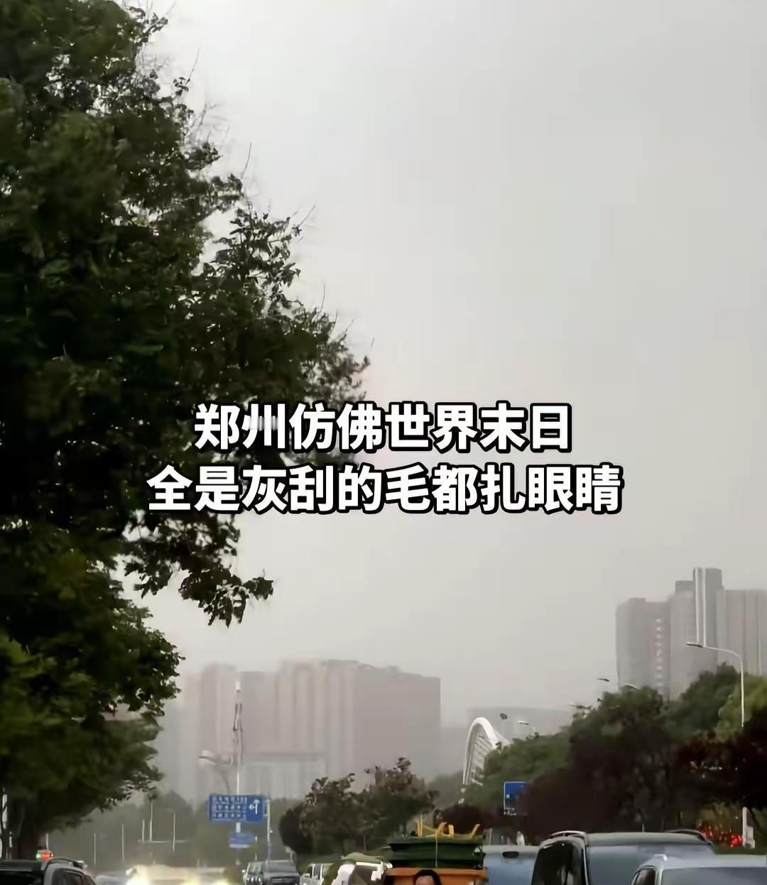郑州郑州大风我的城市刮起了大风柳絮满天飞