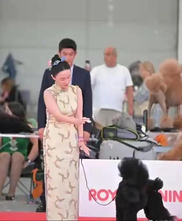 46岁霍思燕意大利犬展生图流出，撕开内娱干瘦审美遮羞布，珠圆玉润才是高级美 