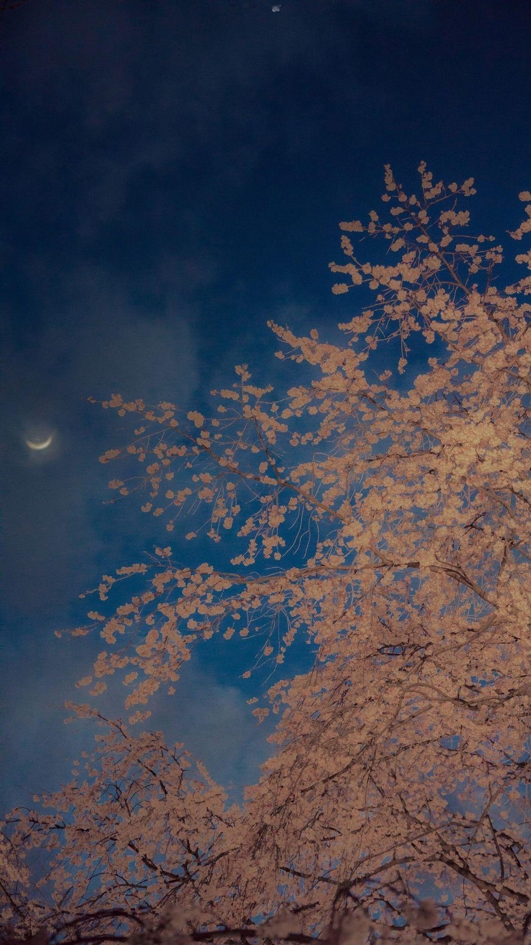 有些话，当父母的必须趁早跟孩子说清楚，别等出了事才后悔莫及。以下这十条安全底线，