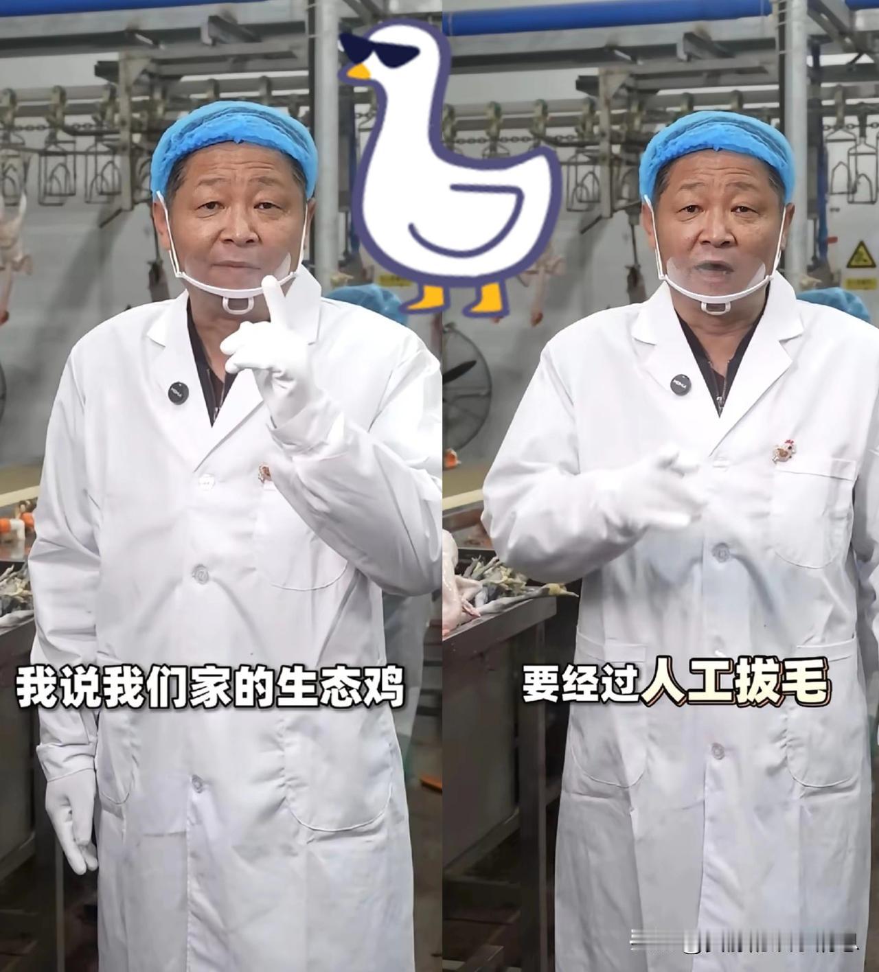 三德子，重庆小有名气的人物，这几天三德子过得可谓不顺，卖鸡卖不出去了，眼看着公司