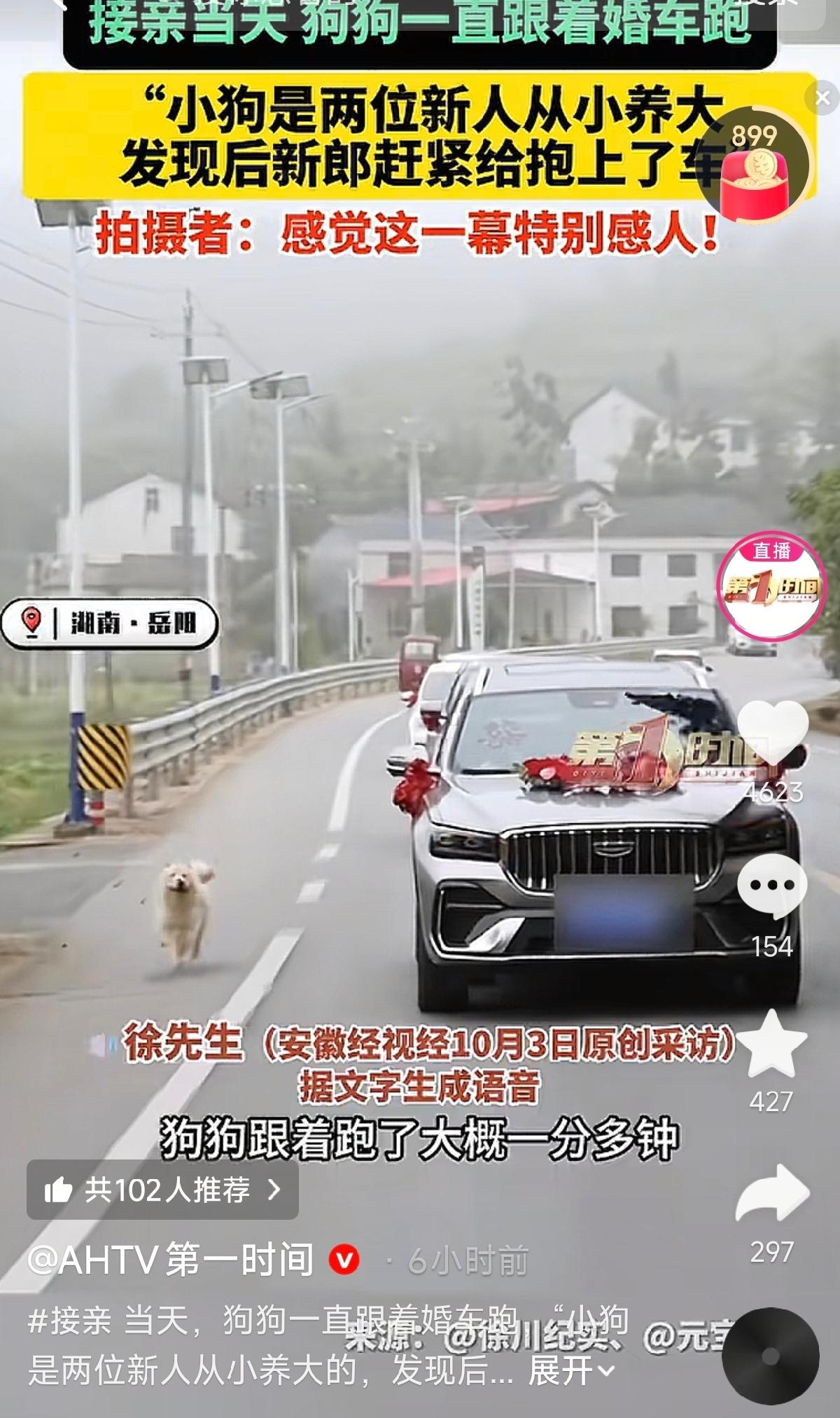 湖南岳阳一对新人结婚，接亲当天，新郎的车队刚走，家里养的小狗竟然一路狂追婚车，怎