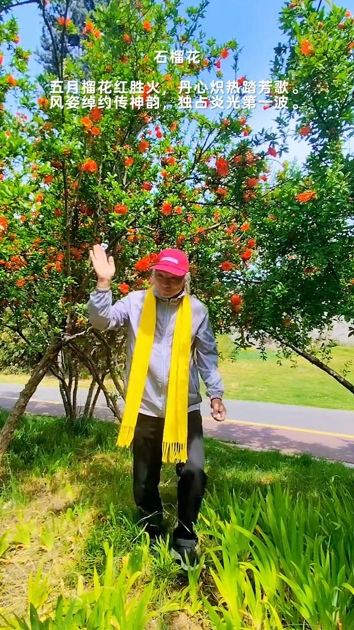 石榴花。
五月榴花红胜火，丹心炽热踏芳歌。
风姿绰约传神韵，独占炎光第一波。
