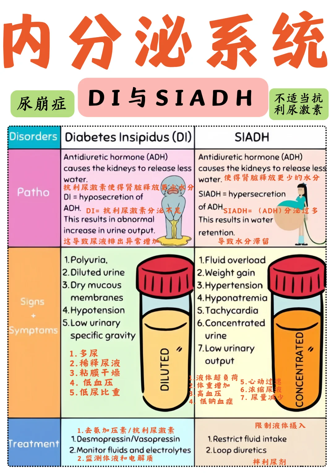 备考RN/内分泌系统！！学！！单词
