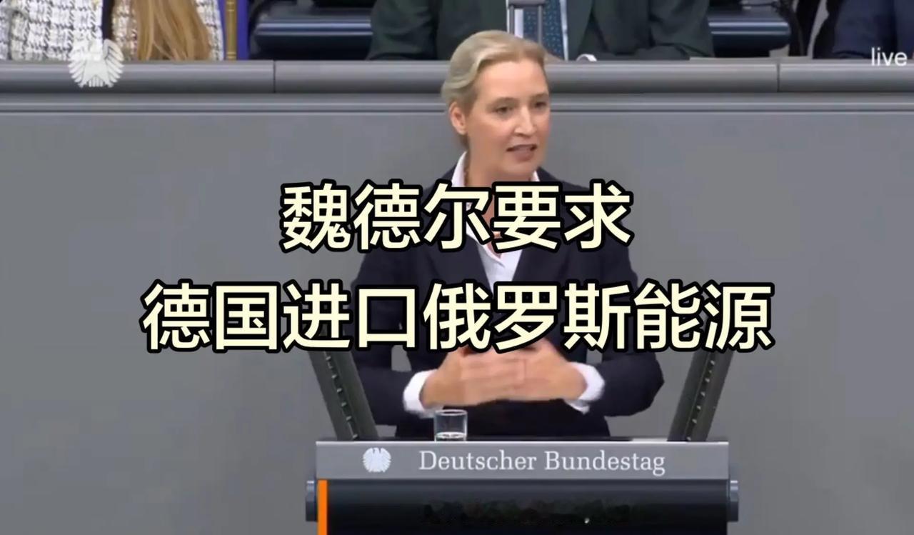 AfD领导人提议德国与俄罗斯达成柴油协议。AfD领导人提议德国与俄罗斯达成“柴油