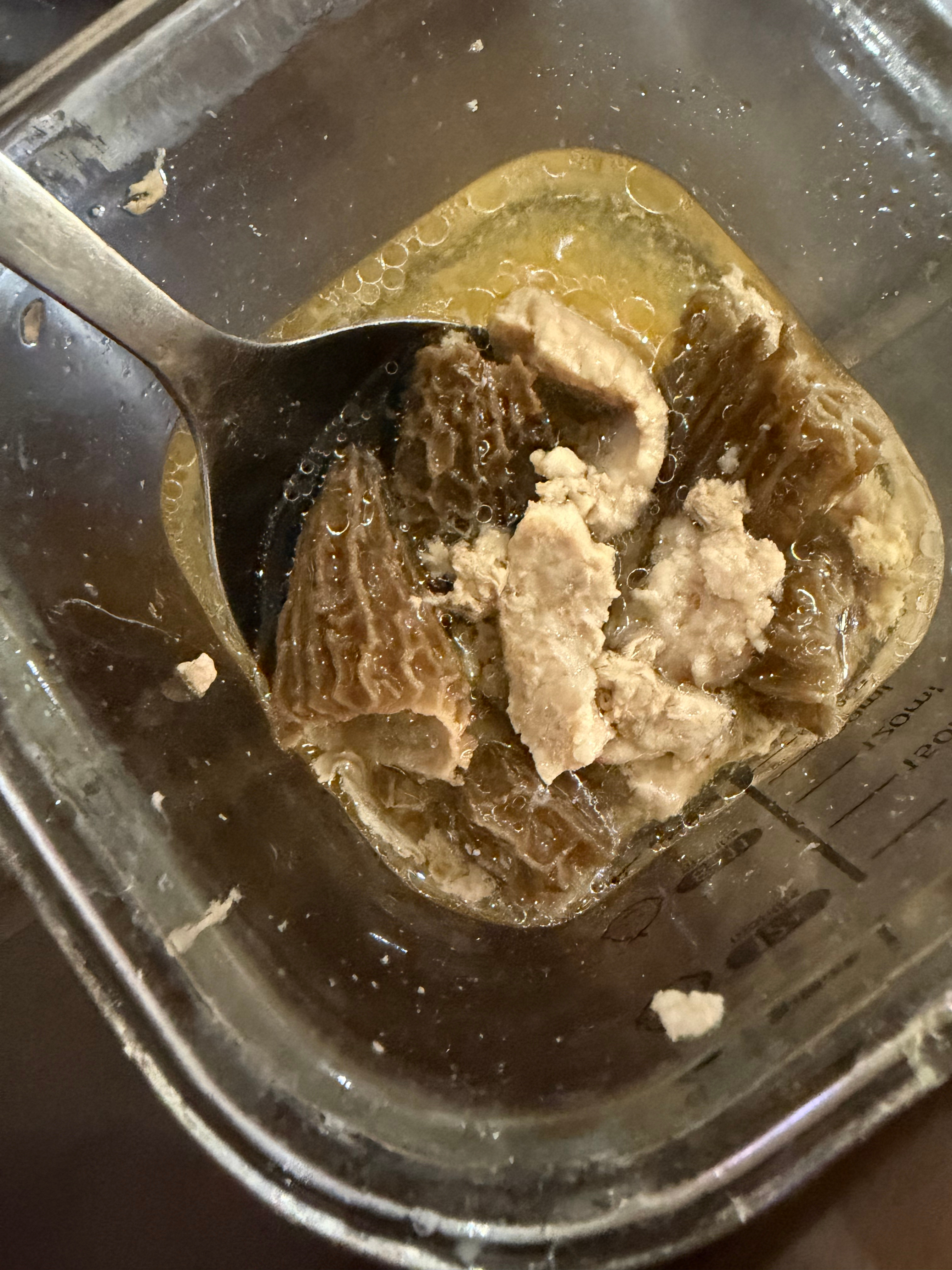 今天炖了羊肚菌➕虎乳菌瘦肉汤，四孩份自从回到城里，都是组团带娃昨天朋友做小孩饭，