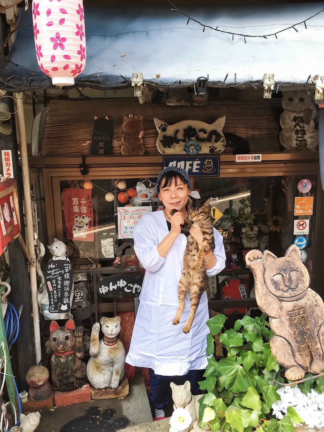日本旅行🐱东京最可爱的民宿！被猫咪环绕