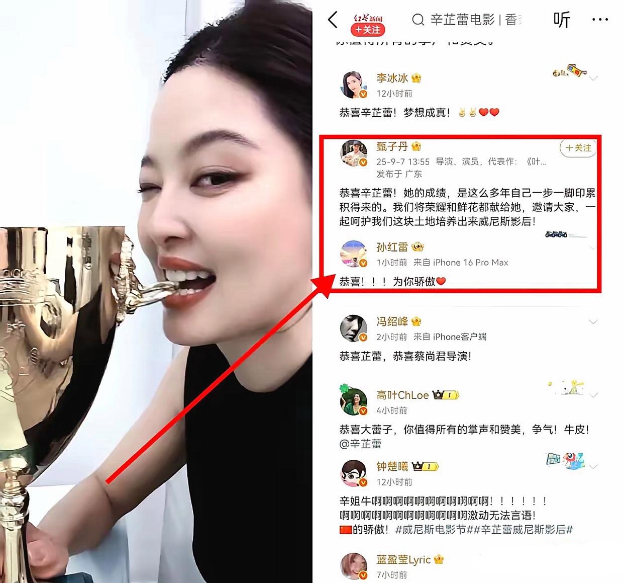 我现在总算明白了，为何甄子丹给辛芷蕾评论了那么多字——原来两人的渊源如此之深，辛