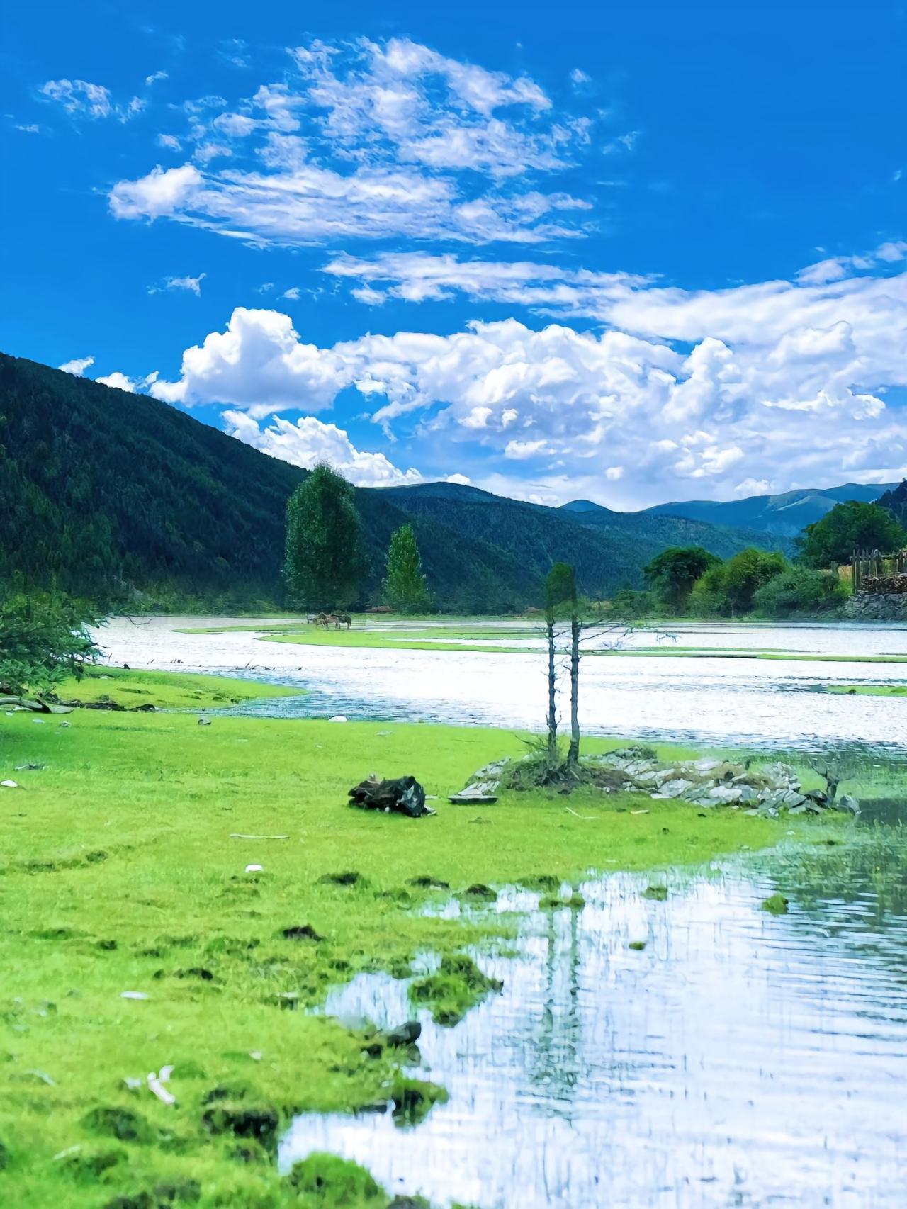 刚才有位老师给我发了个小广告，意思是让我帮他宣传所谓的学历提升。如今还有多少人会