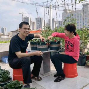 三妹夫妇的楼顶菜