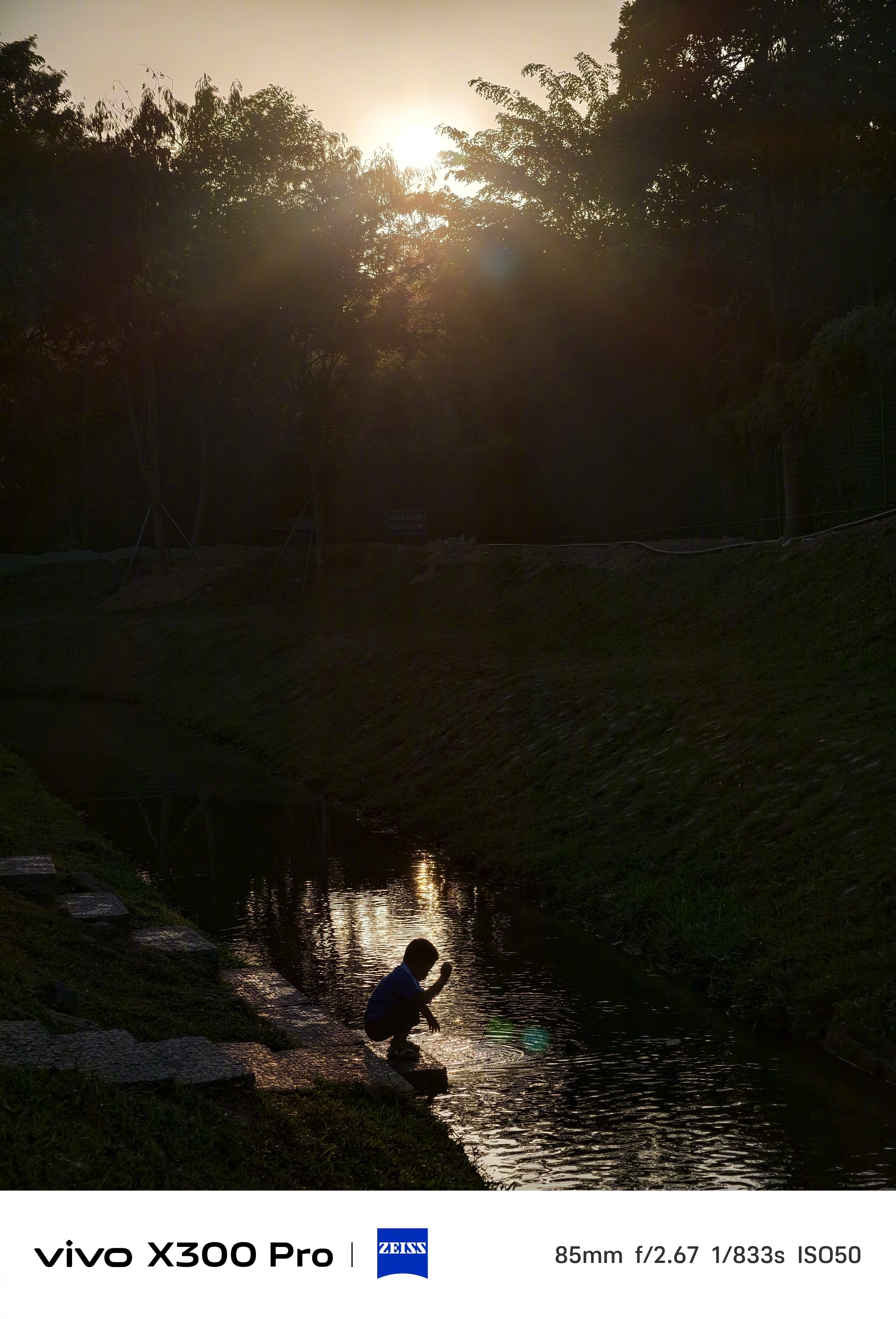 分享图片  ​​​