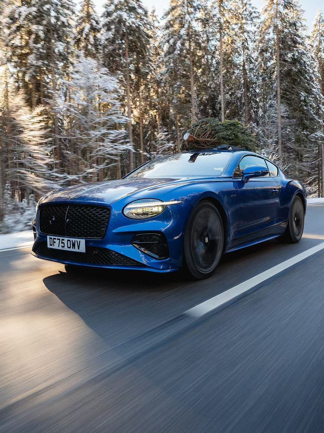 彩票的销售额在增长，说明靠运气的人变多了。Boss直聘的月活在增长，说明失业的人