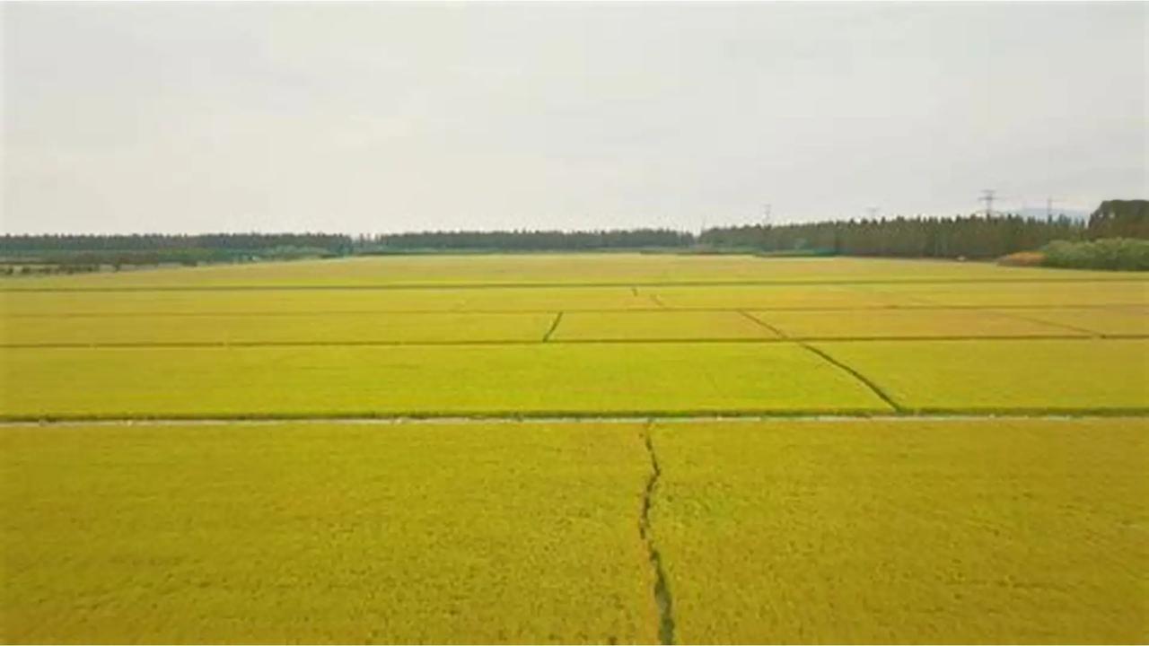 4000 点摸了一把，没站稳。上周大盘在关口前犹豫，量能一路萎缩，两融资金开始收