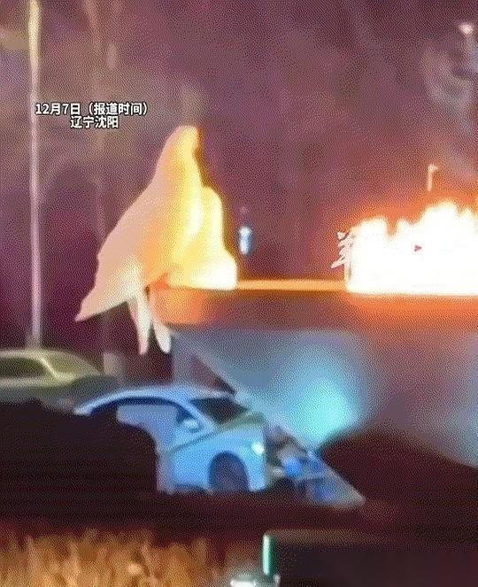 一只鸽子，当着人的面，跳进了火堆里。
尾巴都烧焦了，还不管不顾地往里跳。
我当时