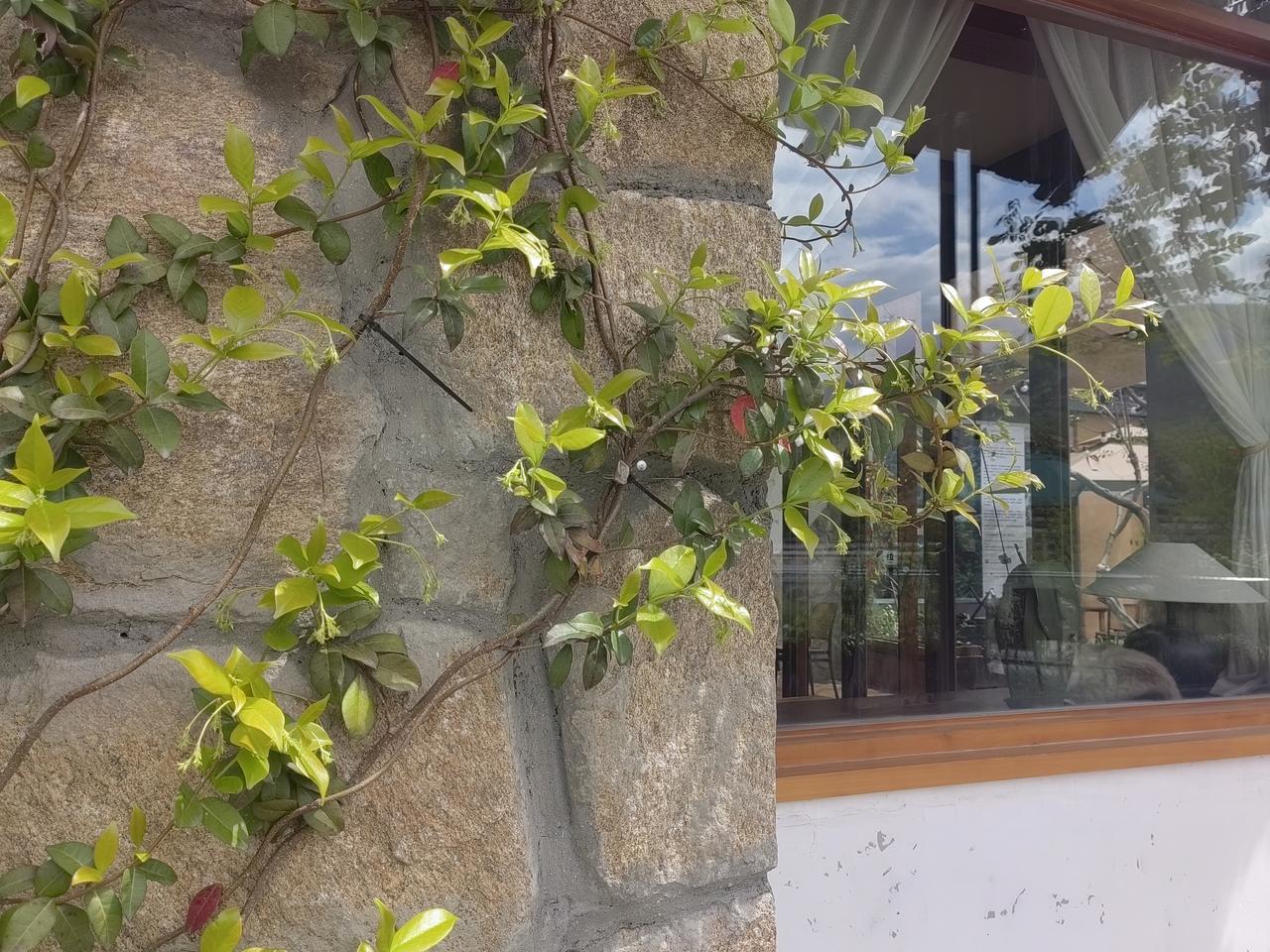 在平武这座小城，每个小区里都有好几家麻将馆。出门在外，最常听见的便是从窗口飘出的