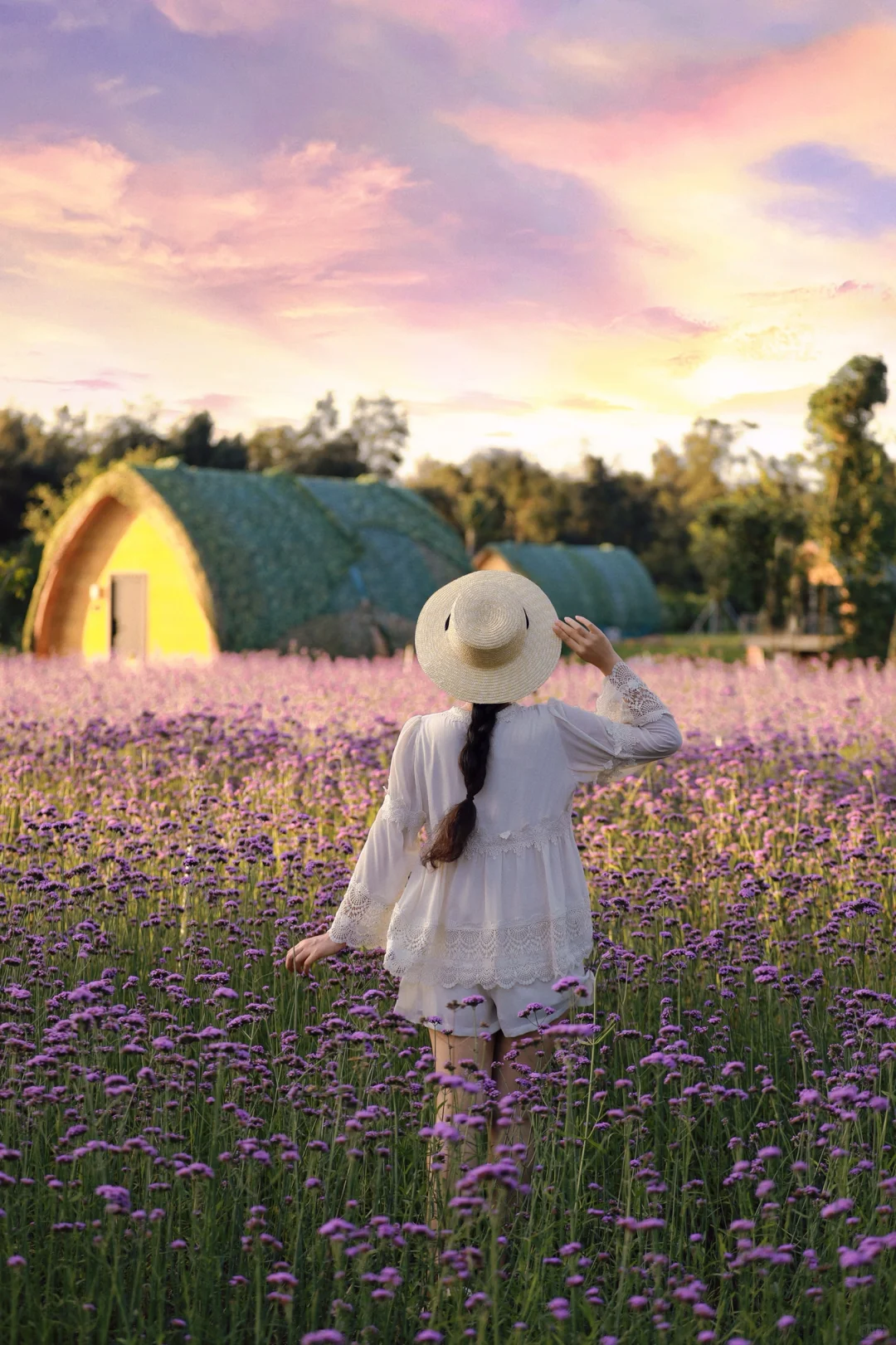 福州今年初夏的第一片紫色花海！