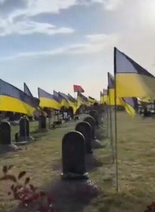 红军城战场清理开始！俄军遗体回收队发现惊人比例，乌军阵亡者中外国面孔超三成，个别